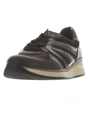 Gabor 6020.01.