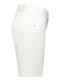 Gardeur IVY1 670471