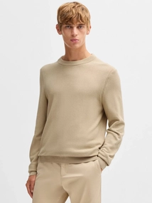 Hugo Boss business Ecaio-P