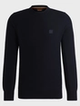 Hugo Boss Orange Anion_S