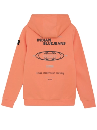 Indian Blue Jeans 960444