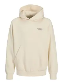 Jack & Jones Junior JORISLINGTON BACK SWEAT HOOD SN JNR