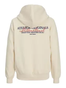 Jack & Jones Junior JORISLINGTON BACK SWEAT HOOD SN JNR