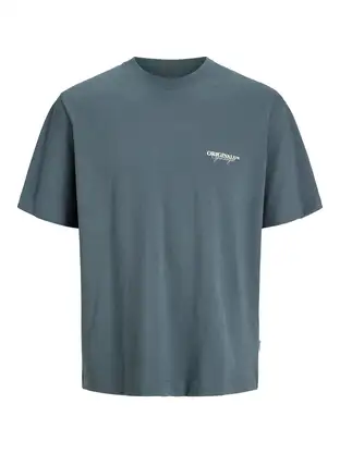 Jack & Jones Junior JORISLINGTON TYPE TEE SS CREW N. SN