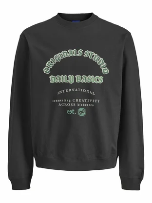 Jack & Jones Junior JORMEADOWS FRONT SWEAT CREW NECK JN