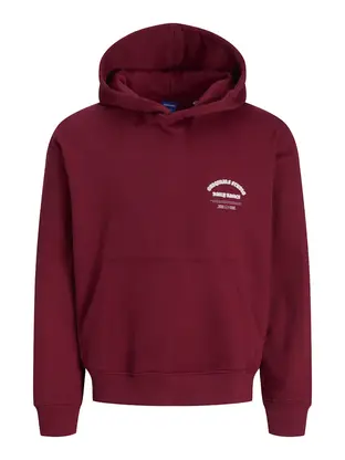 Jack & Jones Junior JORMEADOWS SWEAT HOOD JNR