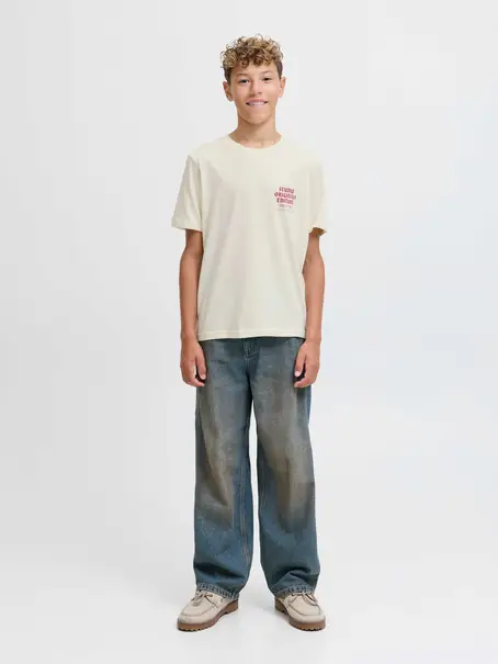 Jack & Jones Junior JORMEADOWS TYPO TEE SS CREW NECK JN