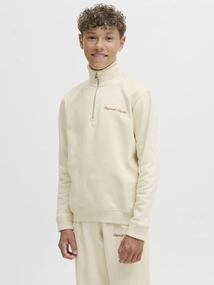 Jack & Jones Junior JORNORREBRO EMB SWEAT HIGH NECK JNR