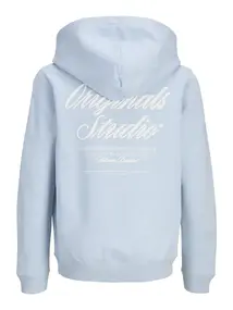 Jack & Jones Junior JORNORREBRO TYPO BACK SWEAT HOOD SN