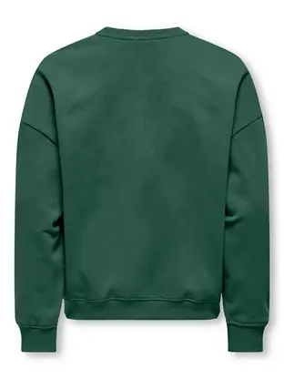 Kids ONLY KOGBILA L/S OVZ BEAR O-NECK SWT NOO