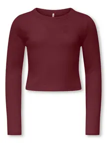 Kids ONLY KOGBINA LIFE L/S O-NECK TOP JRS