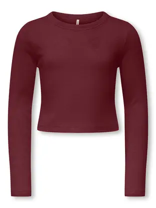 Kids ONLY KOGBINA LIFE L/S O-NECK TOP JRS