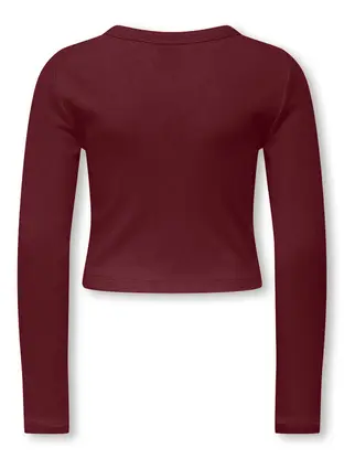 Kids ONLY KOGBINA LIFE L/S O-NECK TOP JRS