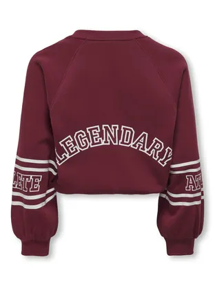 Kids ONLY KOGCOLETTA L/S V-NECK PRINT SWT