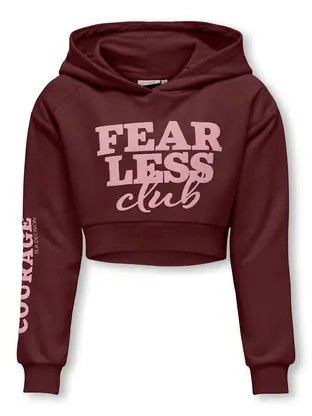Kids ONLY KOGDIANA LIFE L/S SPORTY HOOD BOX S