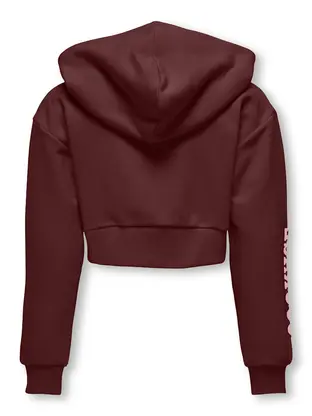 Kids ONLY KOGDIANA LIFE L/S SPORTY HOOD BOX S