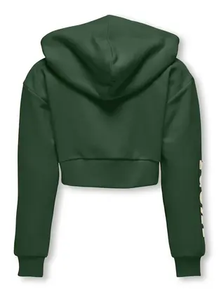 Kids ONLY KOGDIANA LIFE L/S SPORTY HOOD BOX S