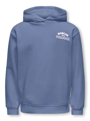 Kids ONLY KOGHOLLYLIFE L/S PRINTED HOODIE SWT