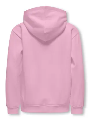 Kids ONLY KOGHOLLYLIFE L/S PRINTED HOODIE SWT