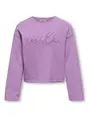 Kids ONLY KOGIBI LS EMB O-NECK CP KNT