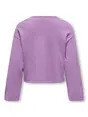 Kids ONLY KOGIBI LS EMB O-NECK CP KNT