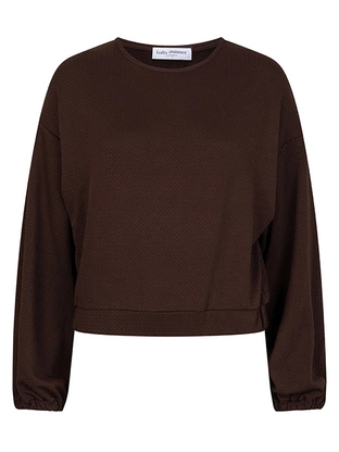 Lofty Manner QH03 - Top Amala