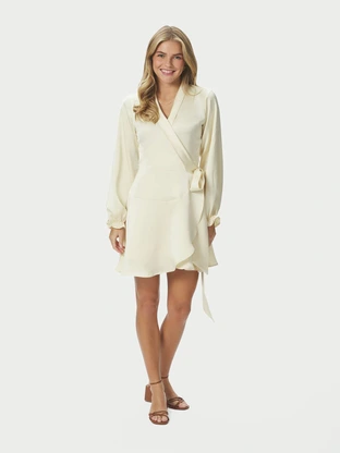 Neo Noir Colbie Heavy Sateen Dress