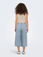 ONLY ONLLA BREA HW LONG DNM SHORTS TAI