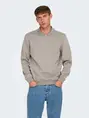 Only & Sons ONSABBOTT REG LS POLO