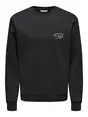 Only & Sons ONSALFRESCO REG CREW NECK