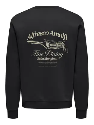 Only & Sons ONSALFRESCO REG CREW NECK
