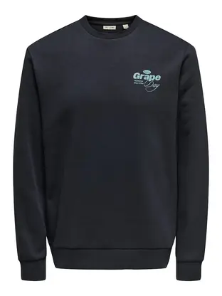 Only & Sons ONSALFRESCO REG CREW NECK