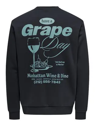 Only & Sons ONSALFRESCO REG CREW NECK