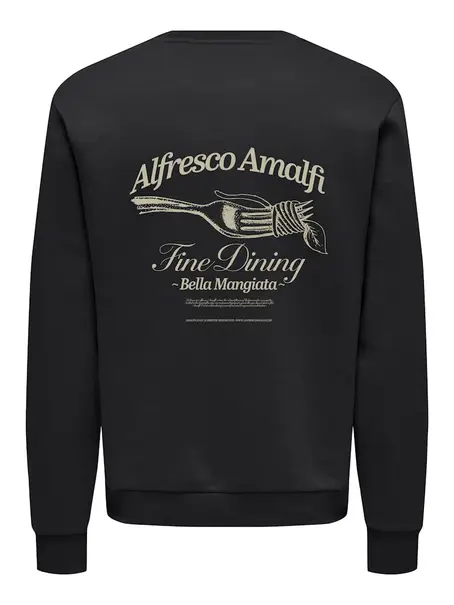 Only & Sons ONSALFRESCO REG CREW NECK