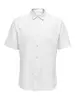 Only & Sons ONSCAIDEN LIFE SS SOLID LINEN SHIRT