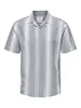 Only & Sons ONSCAIDEN LIFE STRIPE LINEN RESORT