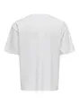 Only & Sons ONSCASPIAN AUT SS TEE NOOS