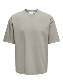 Only & Sons ONSCASPIAN AUT SS TEE NOOS