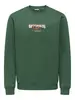 Only & Sons ONSCONNOR SIMPLE LIFE REG LS CREW S