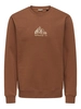 Only & Sons ONSCONNOR SIMPLE LIFE REG LS CREW S