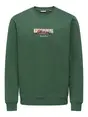 Only & Sons ONSCONNOR SIMPLE LIFE REG LS CREW S