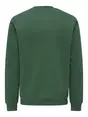 Only & Sons ONSCONNOR SIMPLE LIFE REG LS CREW S