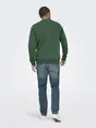 Only & Sons ONSCONNOR SIMPLE LIFE REG LS CREW S