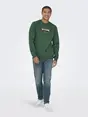 Only & Sons ONSCONNOR SIMPLE LIFE REG LS CREW S