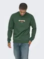 Only & Sons ONSCONNOR SIMPLE LIFE REG LS CREW S
