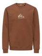 Only & Sons ONSCONNOR SIMPLE LIFE REG LS CREW S