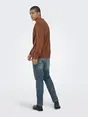 Only & Sons ONSCONNOR SIMPLE LIFE REG LS CREW S
