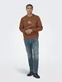 Only & Sons ONSCONNOR SIMPLE LIFE REG LS CREW S