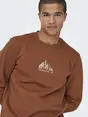 Only & Sons ONSCONNOR SIMPLE LIFE REG LS CREW S