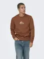 Only & Sons ONSCONNOR SIMPLE LIFE REG LS CREW S